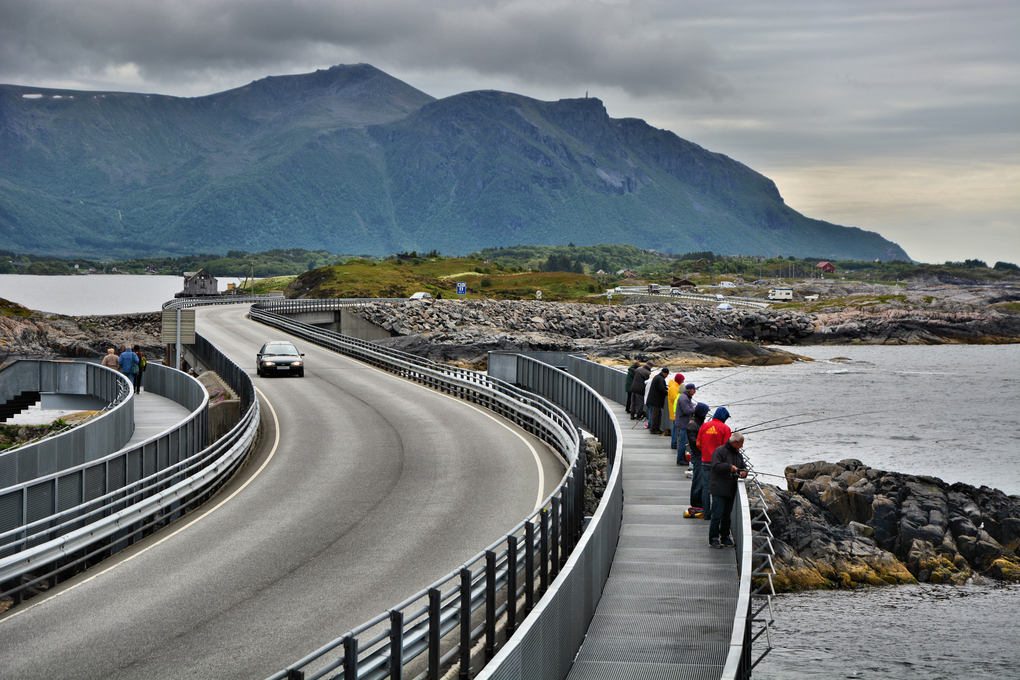 Vacante  Scandinavia
